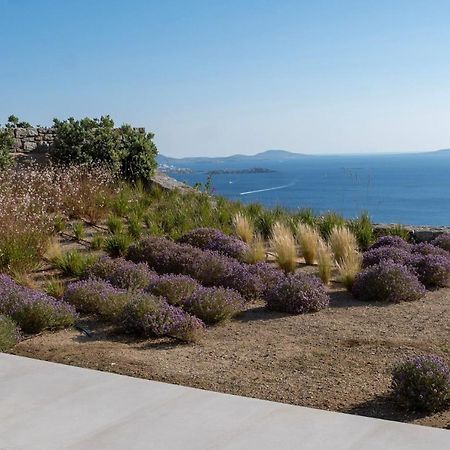Zelia B&B & Villa Mykonos Town Exterior photo